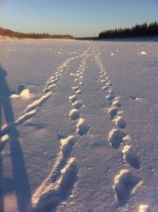 Hay River footprints