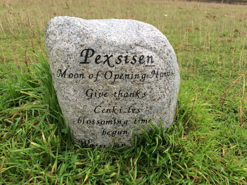 Pexsisen stone